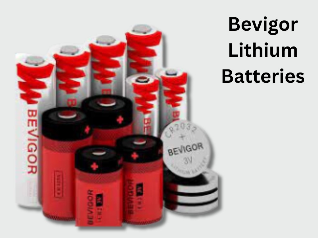 Top 4 Best Lithium Batteries For Blink Cameras