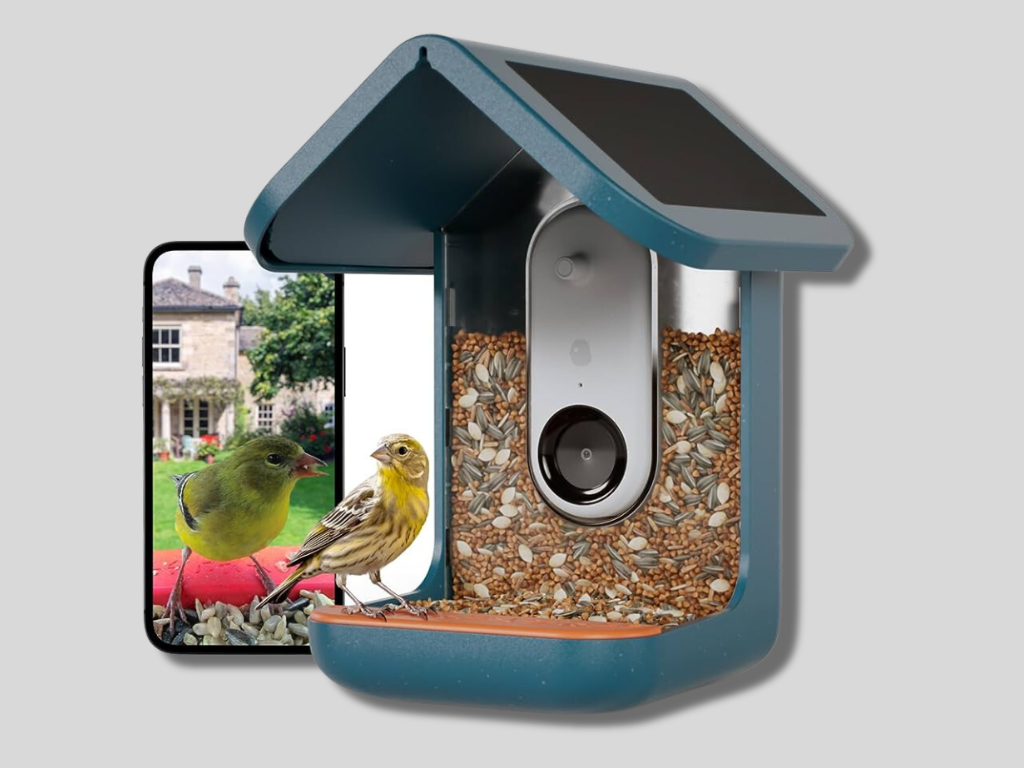 3 Best Bird Feeder Camera
